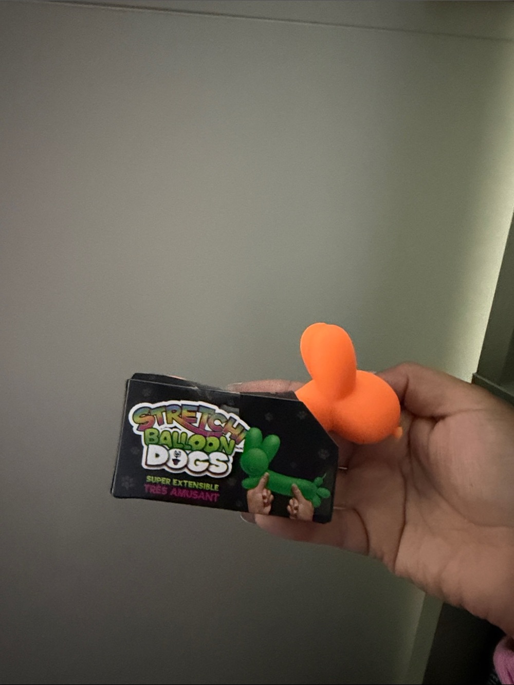 Stretchi balloon dogs